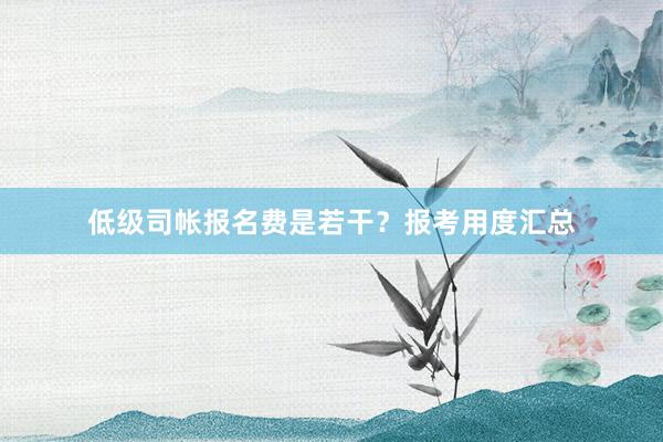 低级司帐报名费是若干？报考用度汇总